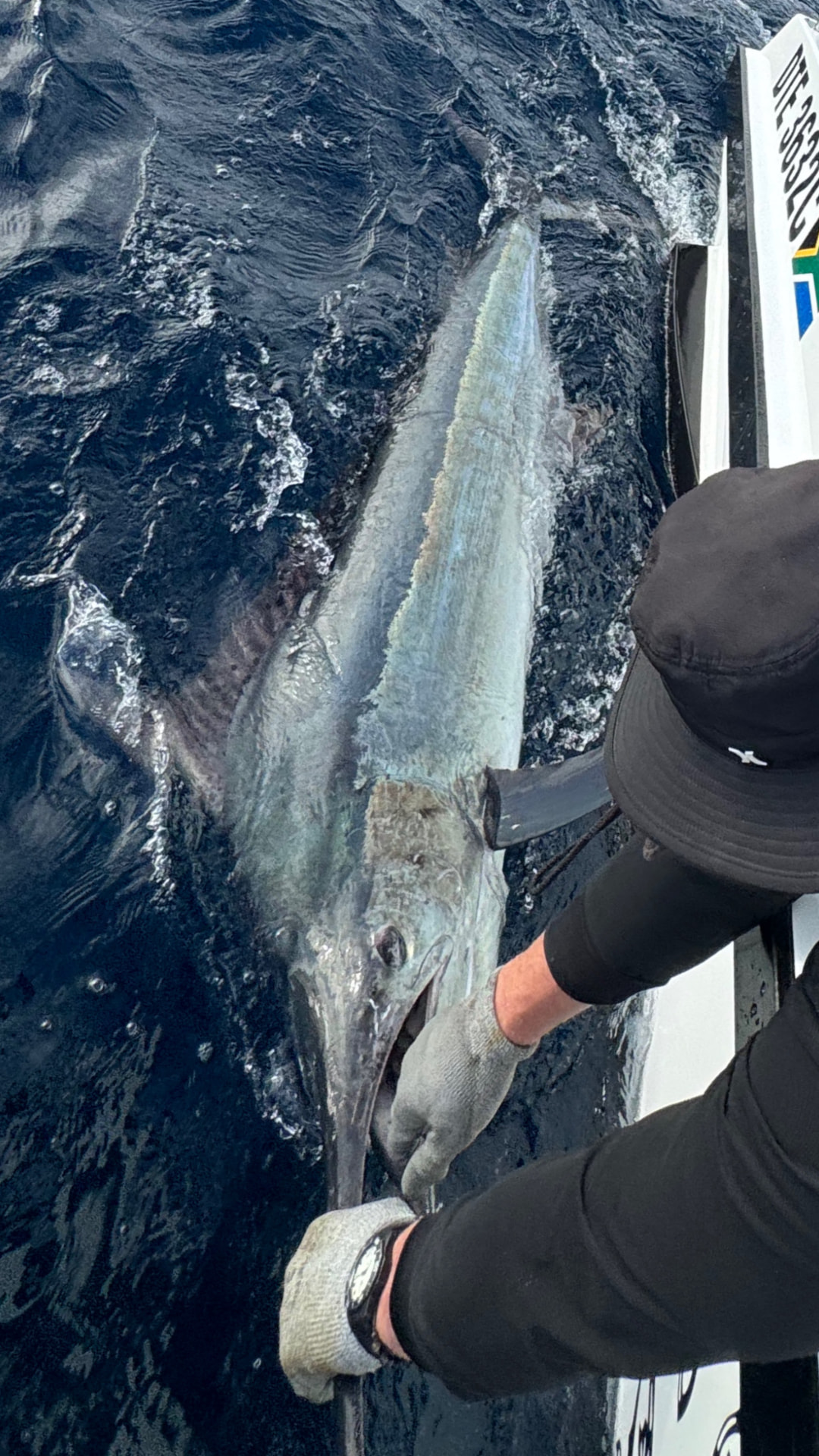 A billfish held alongside the hull of the On Point boat in deep blue water